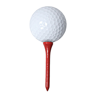 供应双层白色高尔夫比赛球 高尔夫球套装 高尔夫礼品球